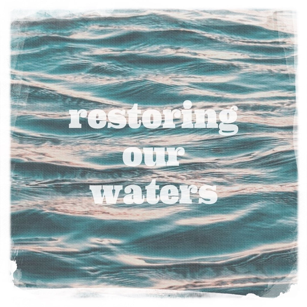 restoring our waters