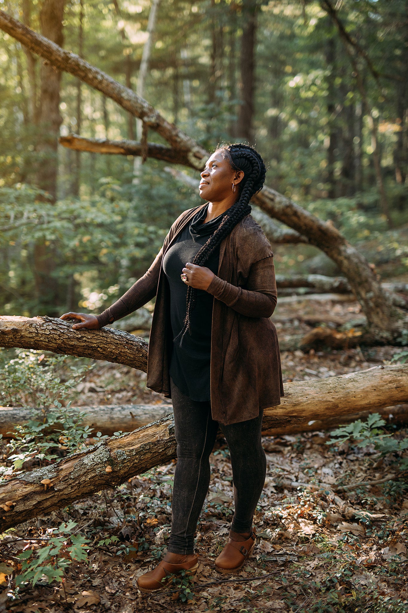 coco blazer in cedar mineral
