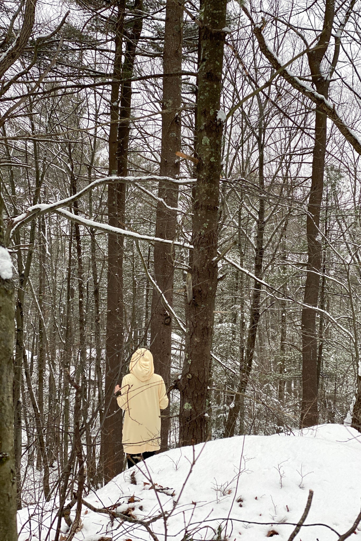 maeve hooded pullover in butter