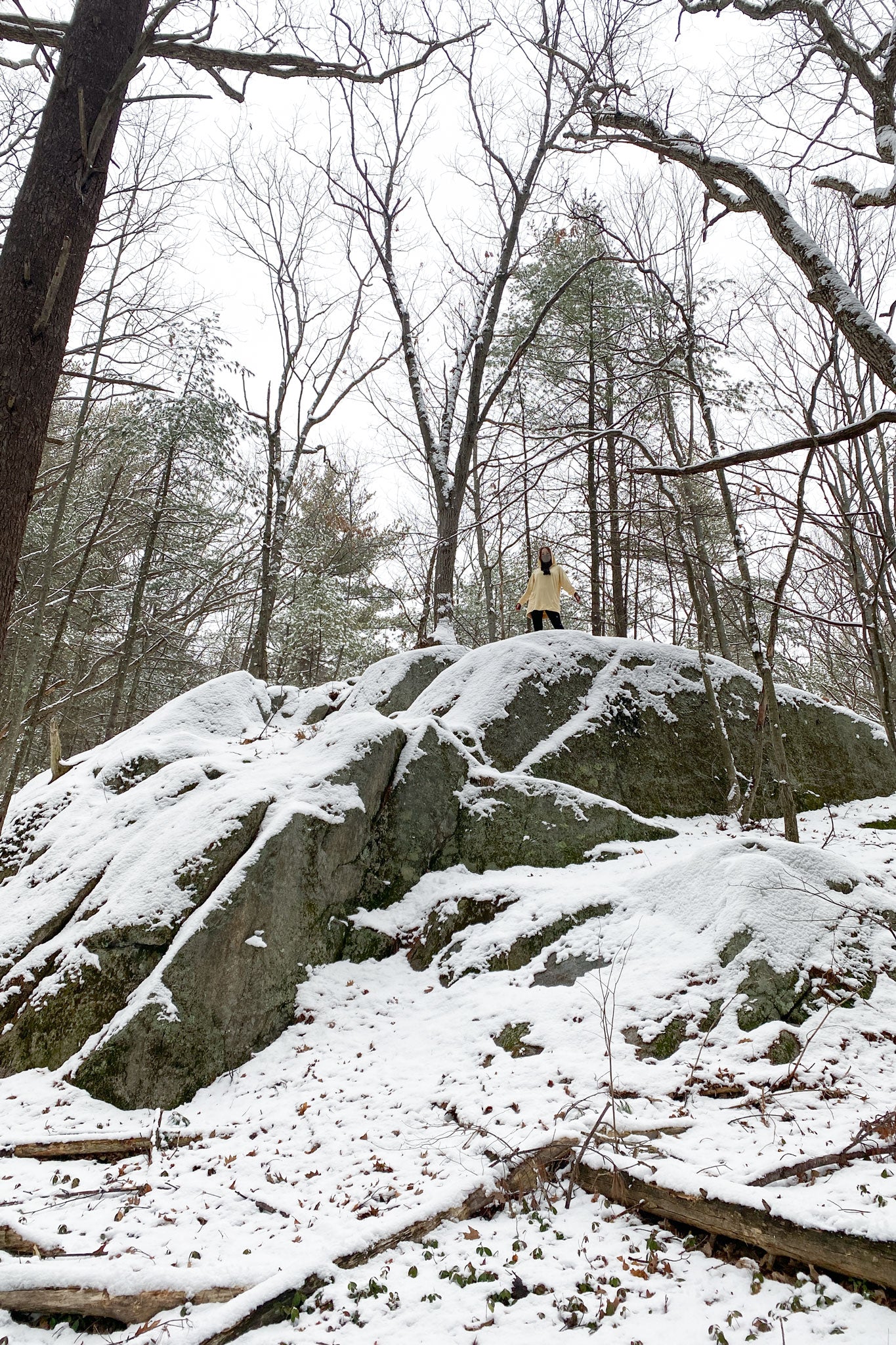 maeve hooded pullover in butter