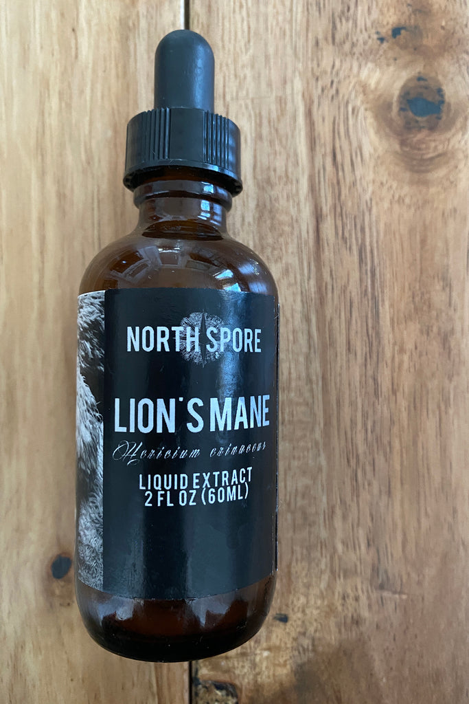 lions mane liquid extract