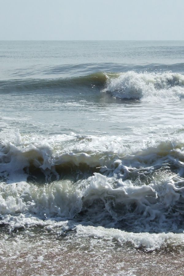 fiducie du patrimoine de la côte du Maine