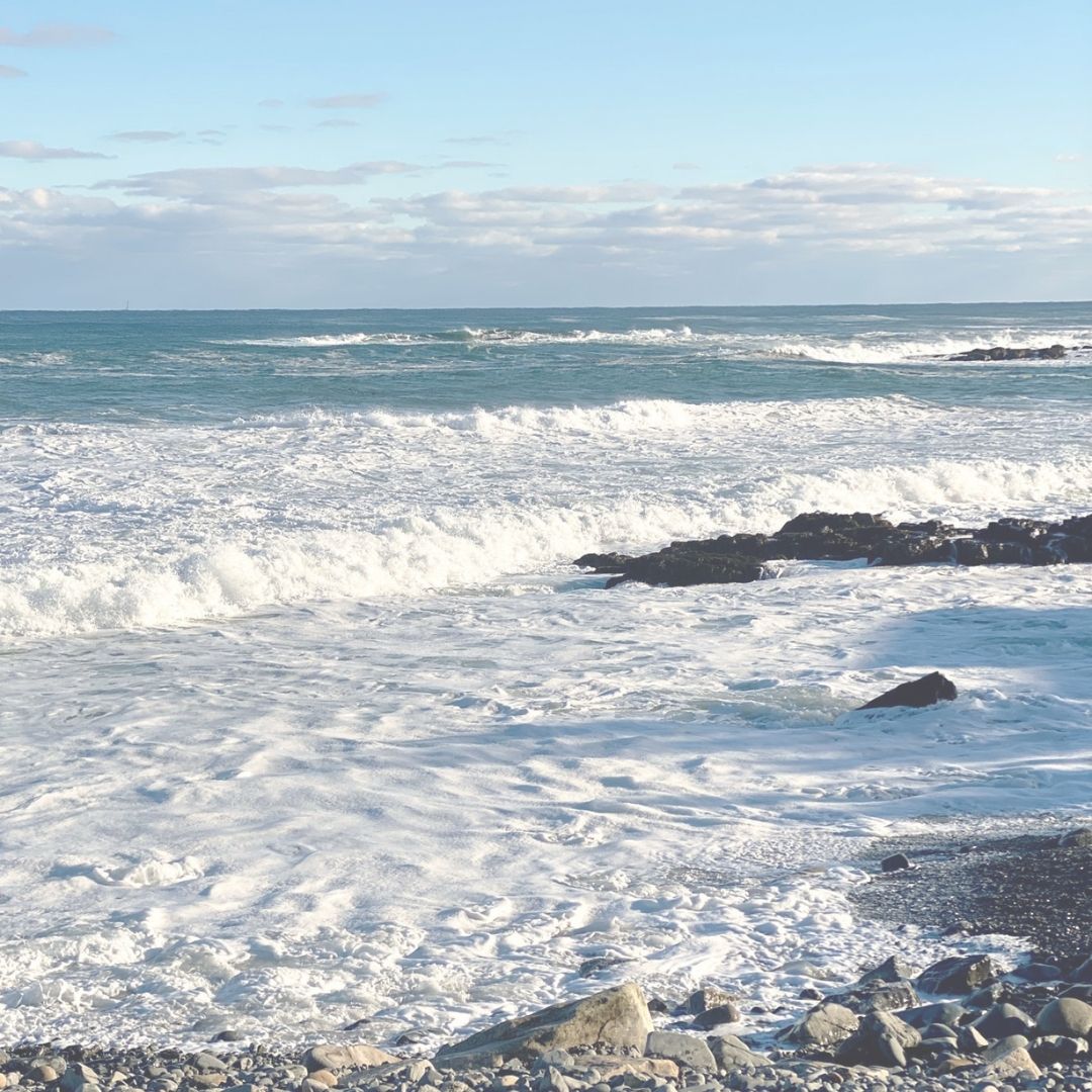 fiducie du patrimoine de la côte du Maine