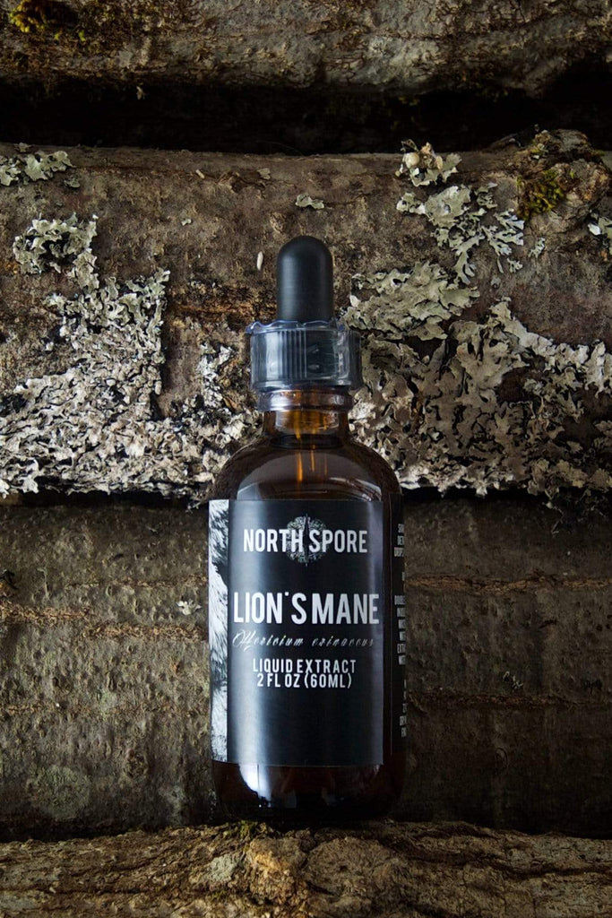 lion's mane liquid extract