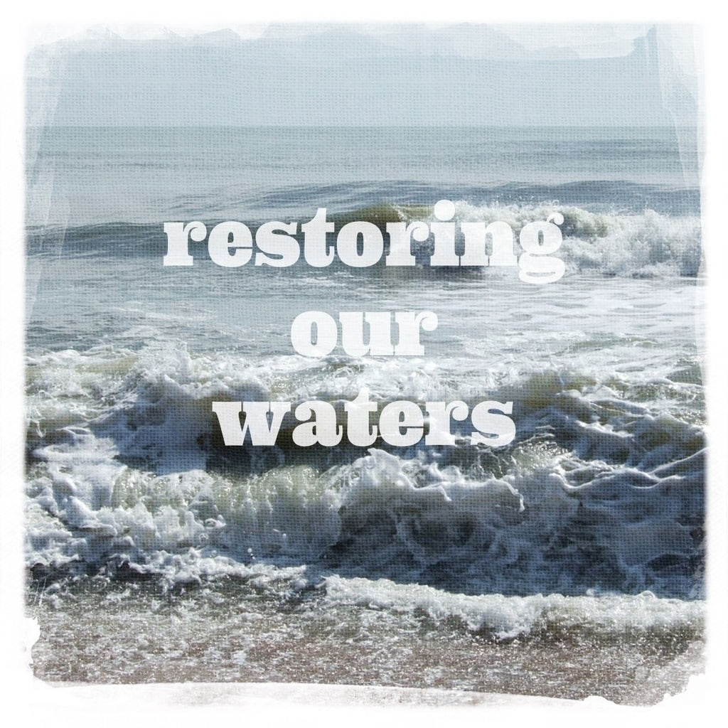 restoring our waters