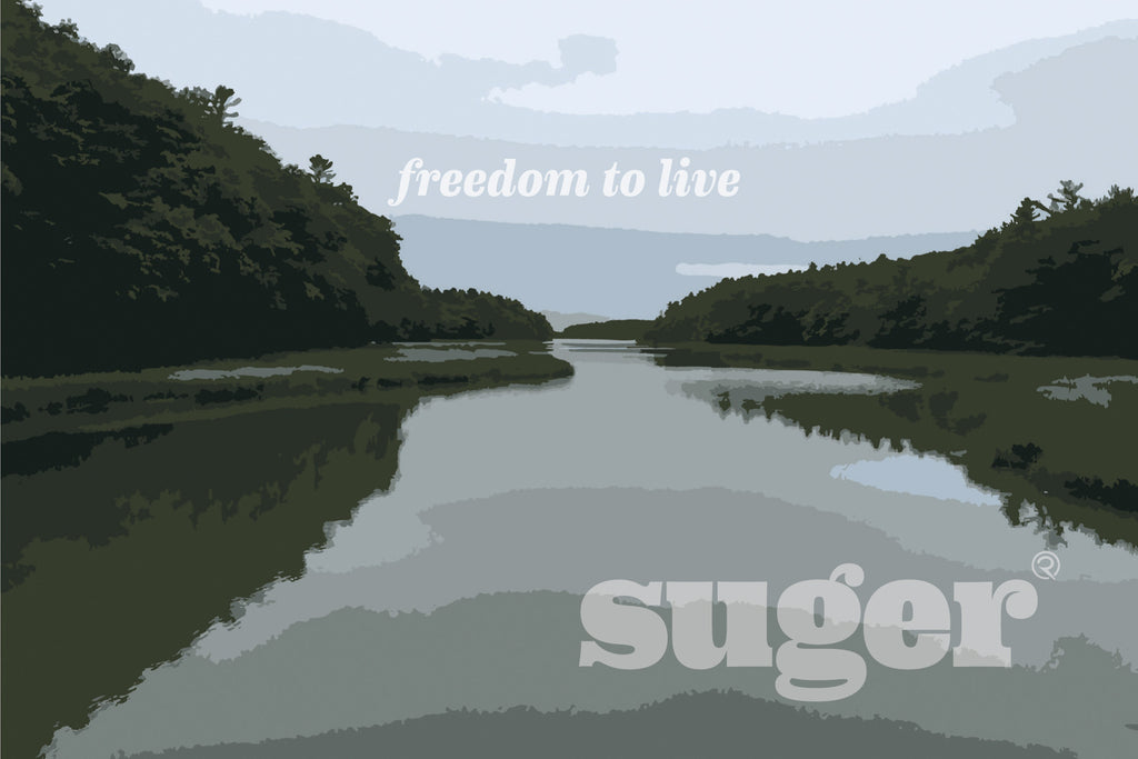 Suger opens second store in Portland, Maine