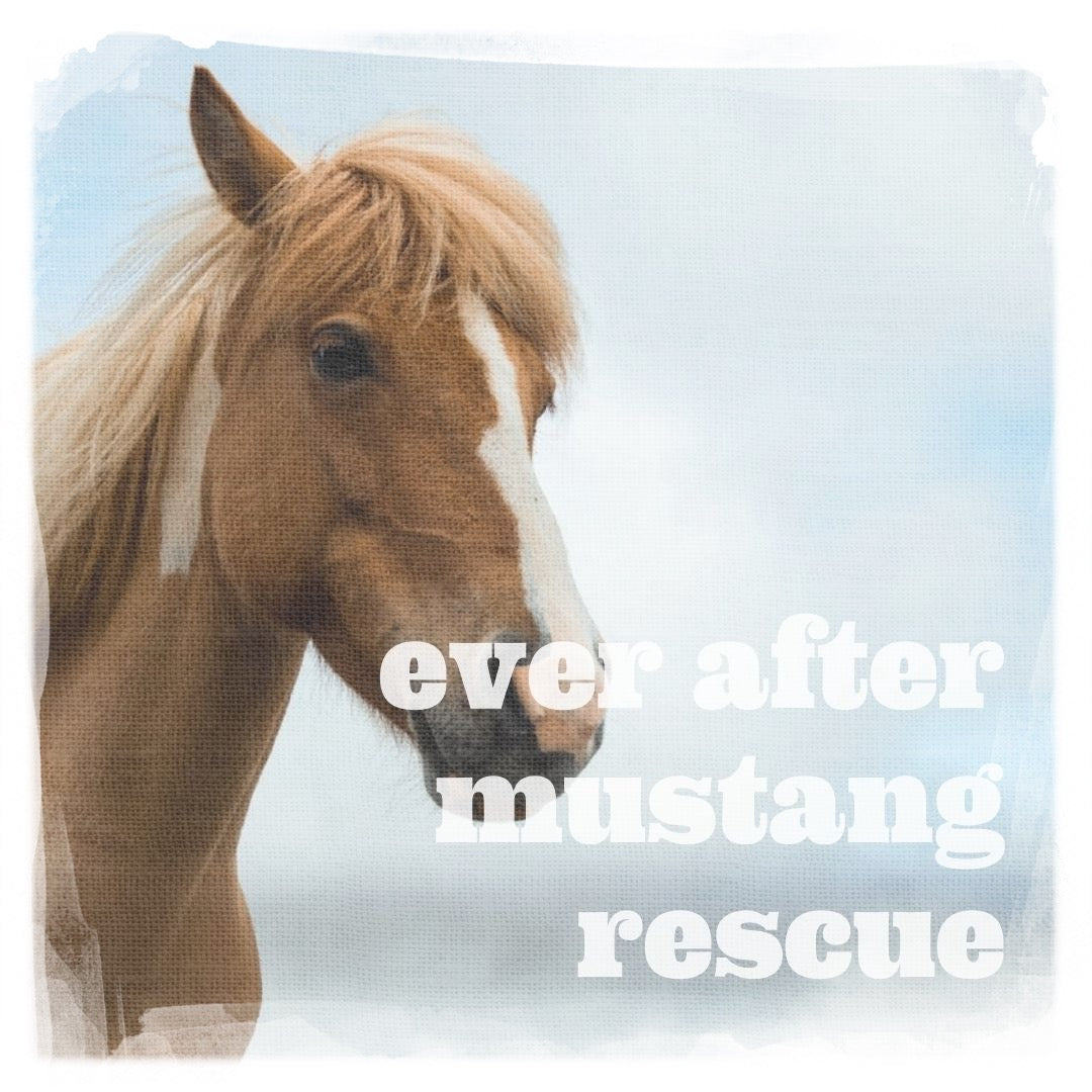saving mustangs