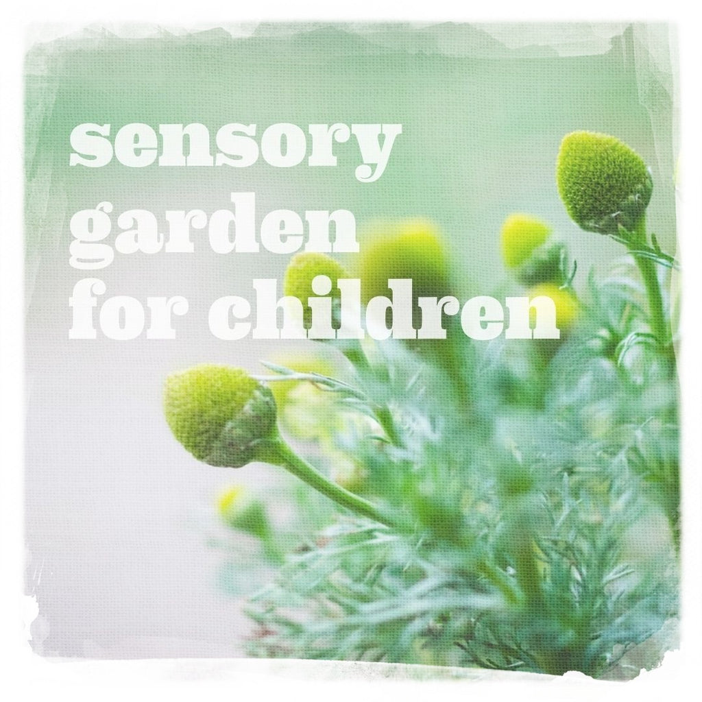 sensory garden for children