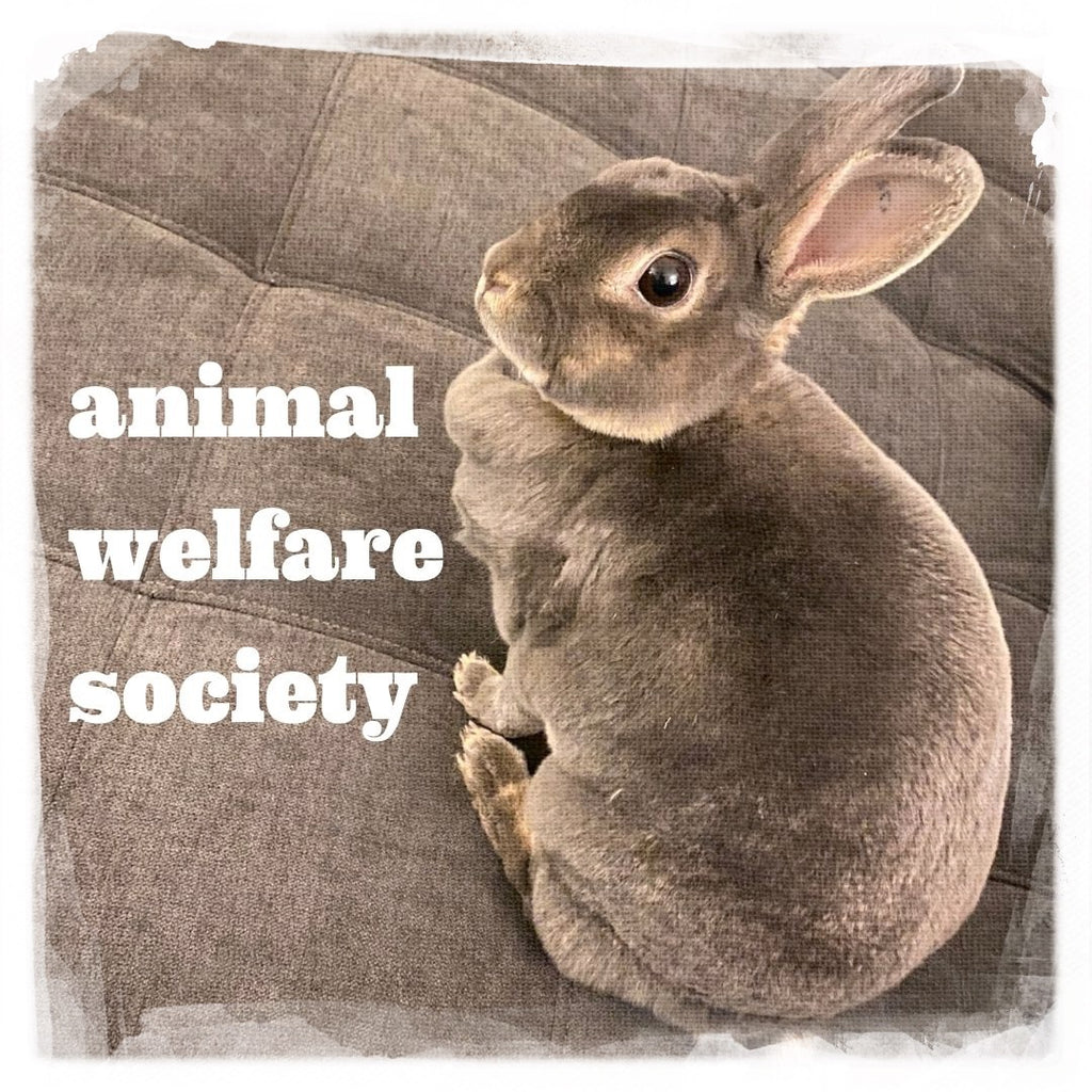animal welfare society