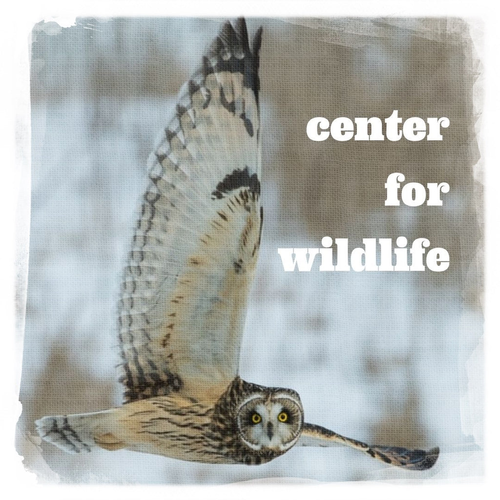 center for wildlife