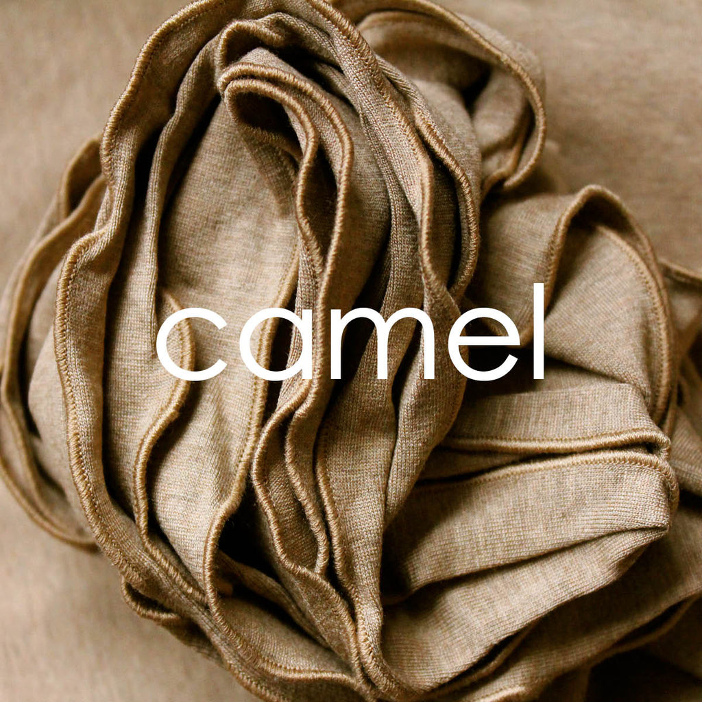 camel