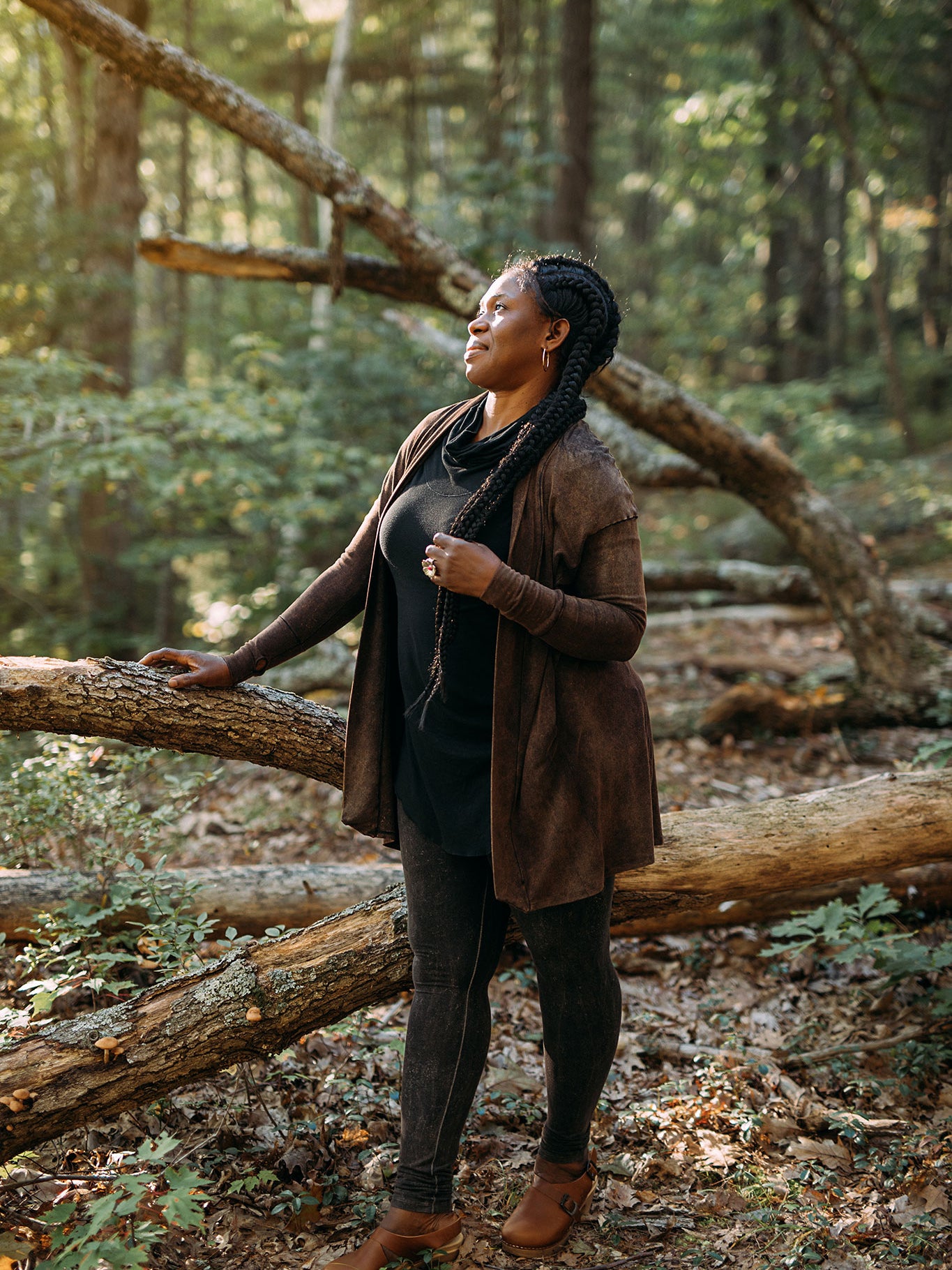 coco blazer in cedar mineral