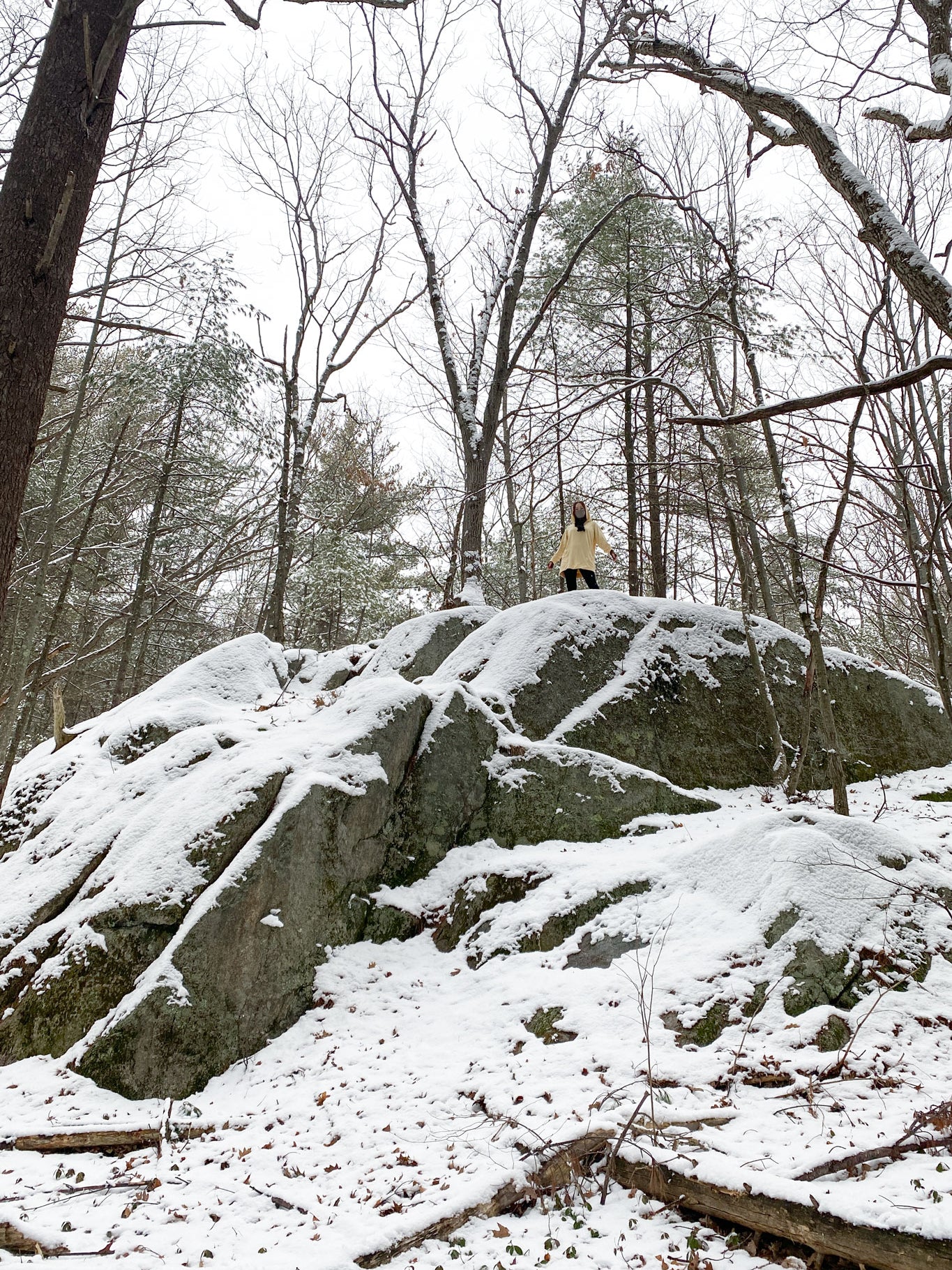 maeve hooded pullover in butter