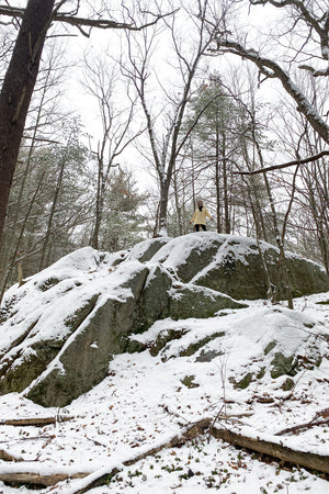 maeve hooded pullover in butter