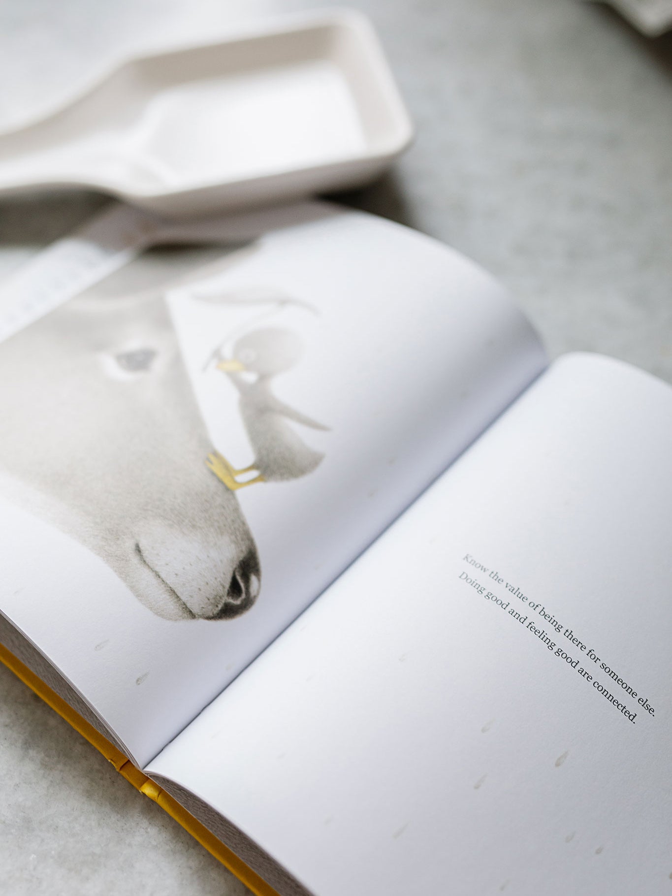 "finding muchness" book