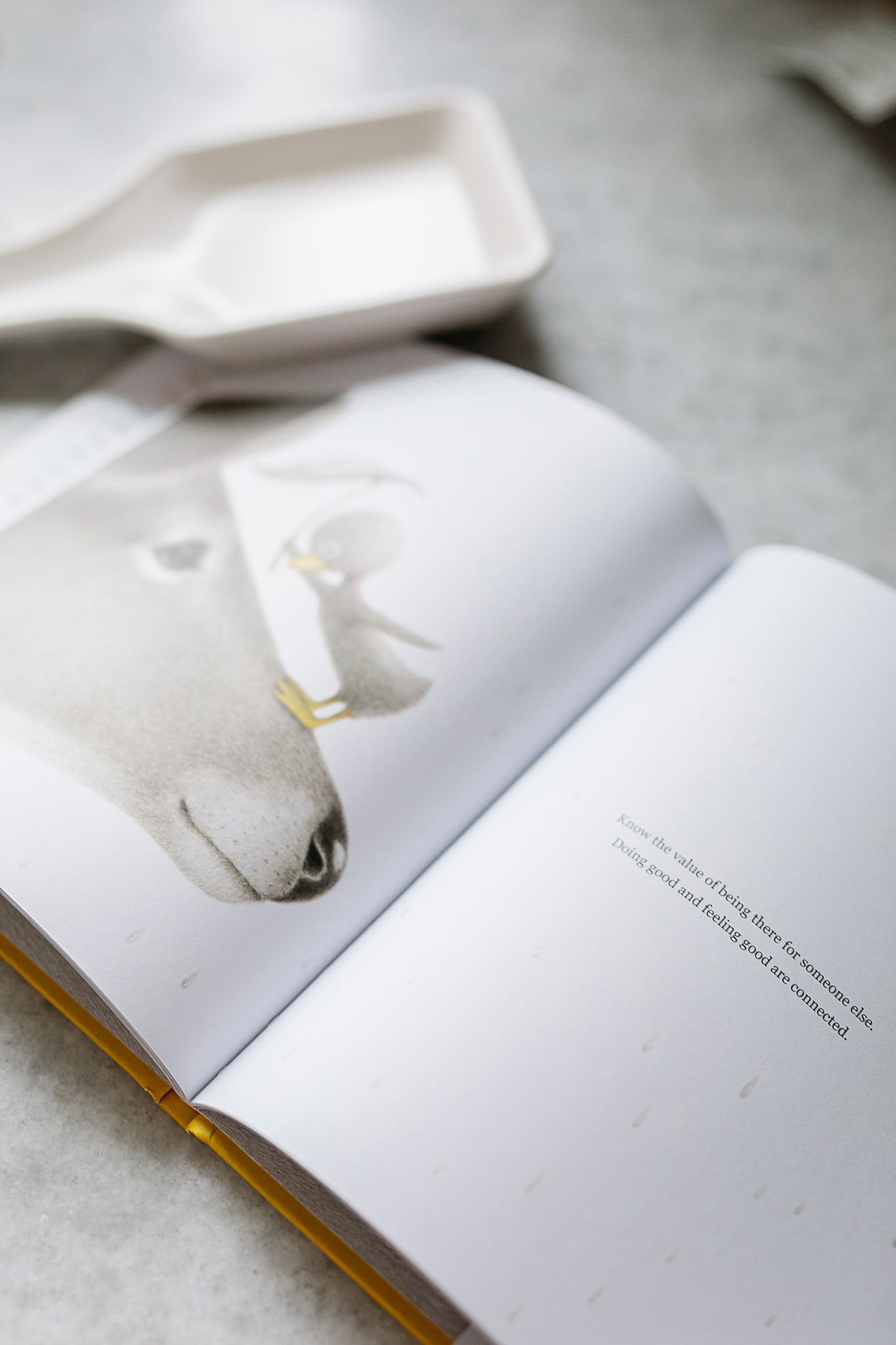 "finding muchness" book