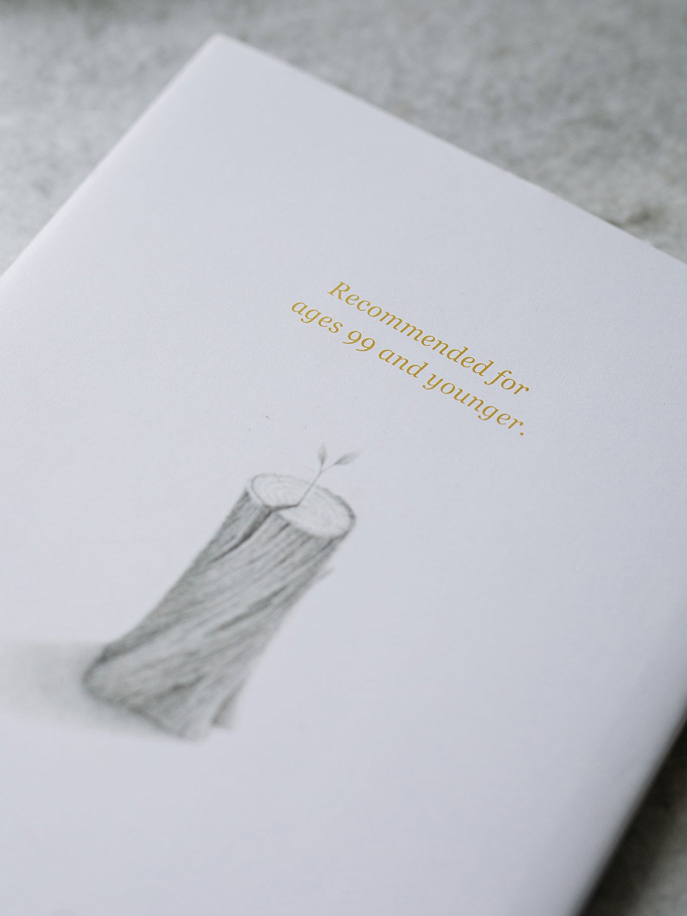 "finding muchness" book