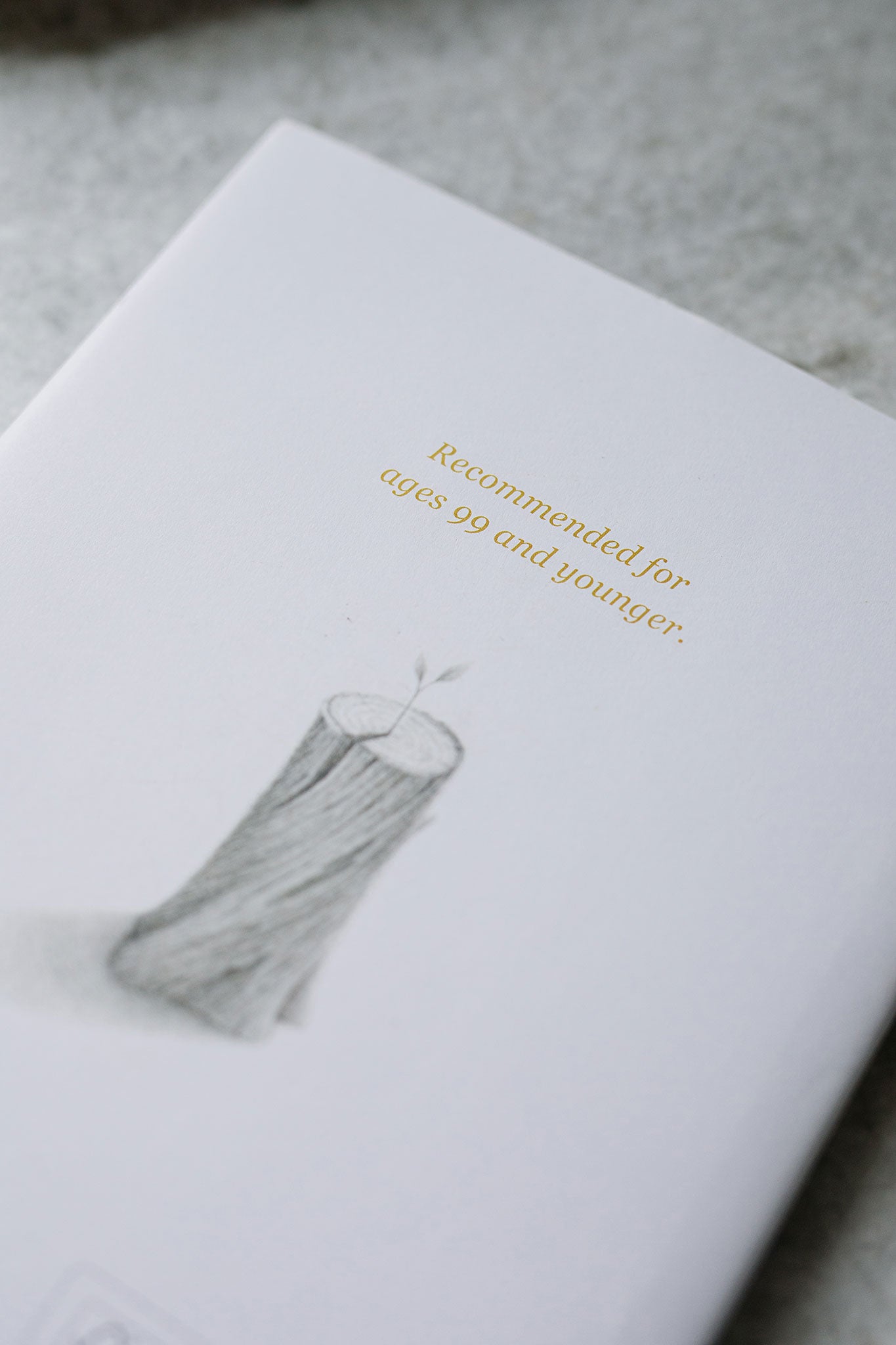 "finding muchness" book