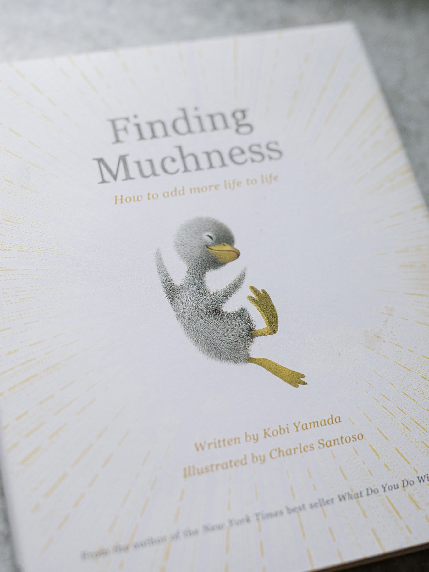 "finding muchness how to add more life to life" book 