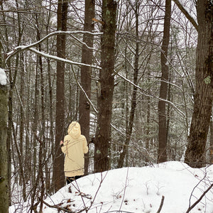 maeve hooded pullover in butter