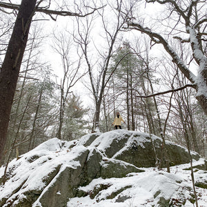 maeve hooded pullover in butter