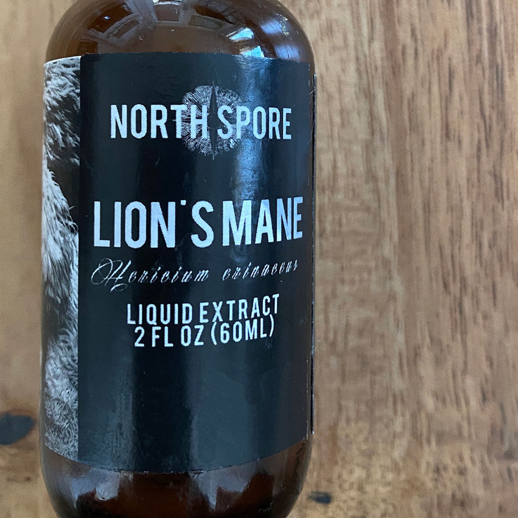 lions mane liquid extract