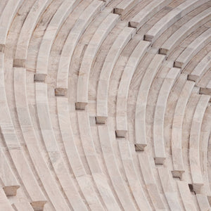 Projet de démocratie du Maine