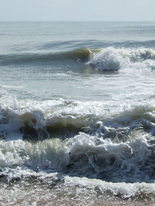 fiducie du patrimoine de la côte du Maine