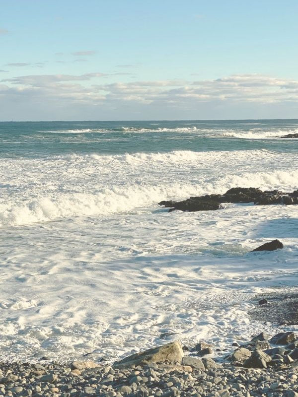 fiducie du patrimoine de la côte du Maine