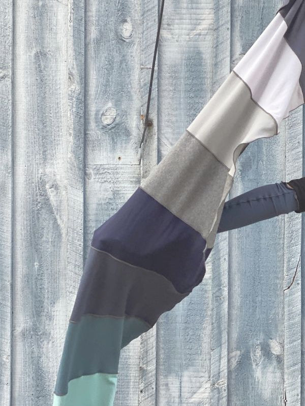 Projet de démocratie du Maine