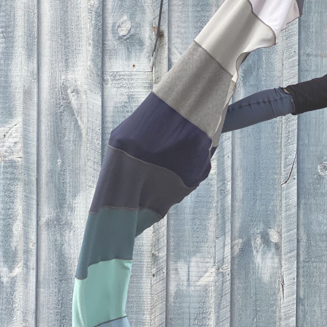 Projet de démocratie du Maine