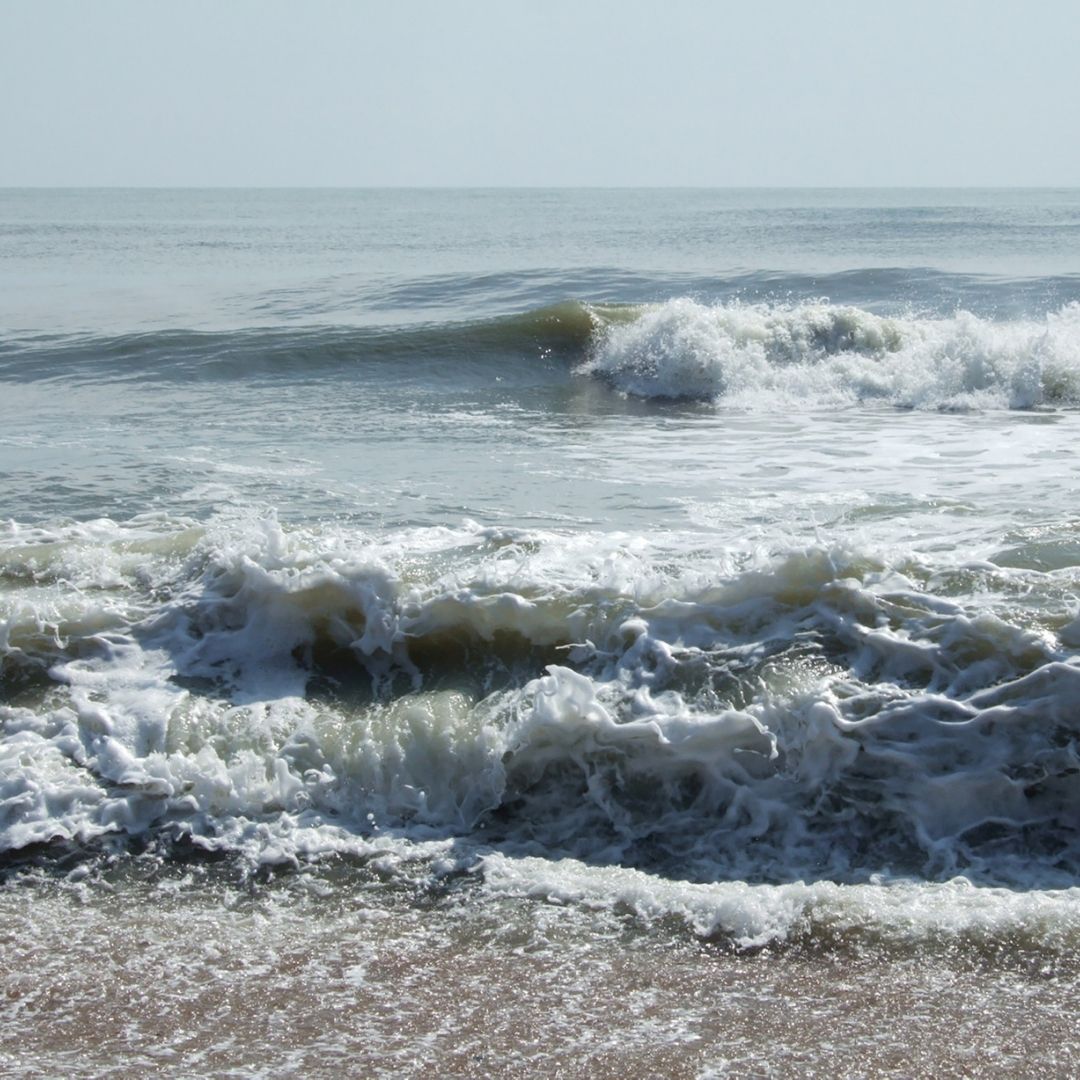 fiducie du patrimoine de la côte du Maine
